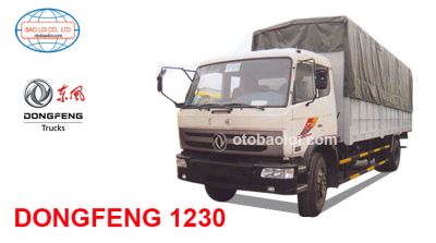Dongfeng 1230