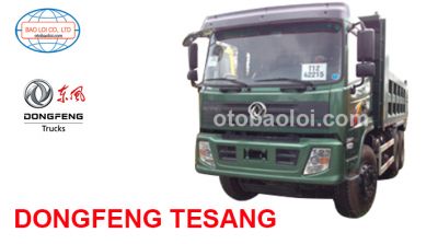 Dongfeng Tesang