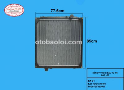 Két nước Howo-WG9719530011