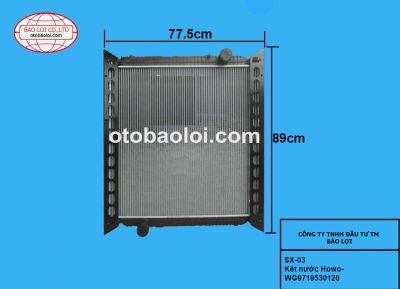 Két nước Howo-WG9719530120