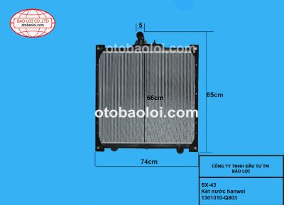 Két nước hanwei-1301010-Q803