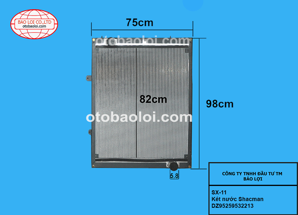 Két nước shacman-DZ95259532213