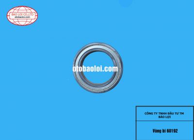 Vòng bi 60192
