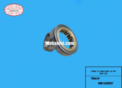 Vòng bi 99014320257