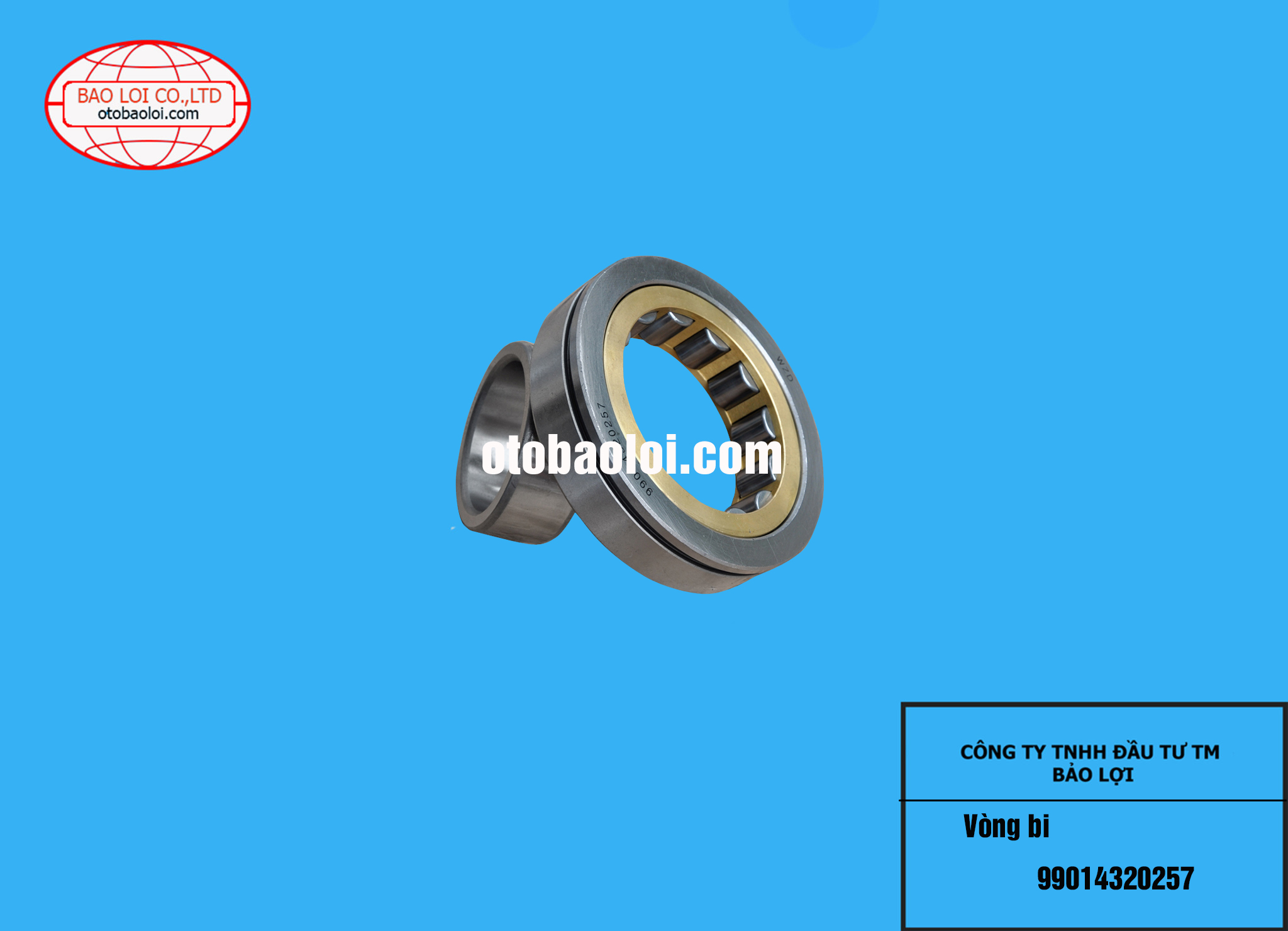 Vòng bi 99014320257