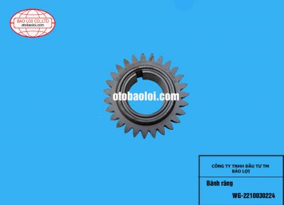 Bánh răng WG-2210030224