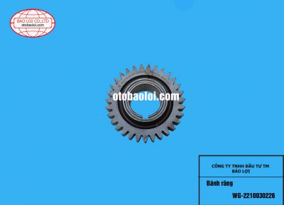 Bánh răng WG-2210030226