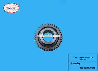 Bánh răng WG-2210030403