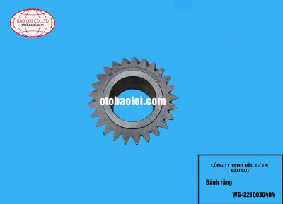 Bánh răng WG-2210030404