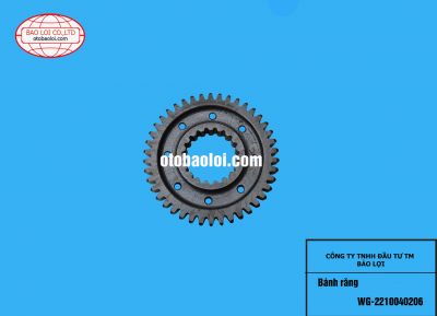 Bánh răng WG-2210040206