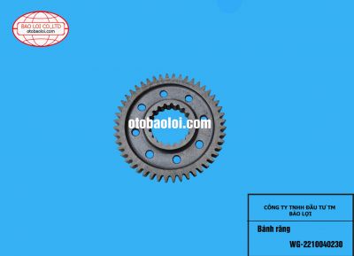 Bánh răng WG-2210040230