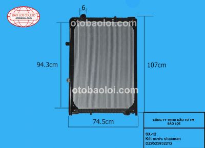 Két nước shacman-DZ9525932212