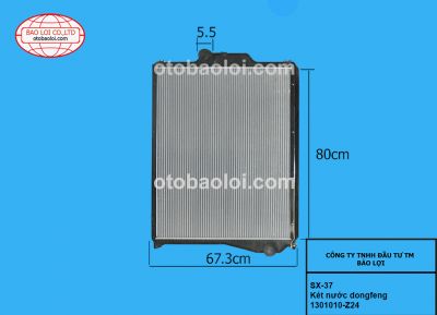 Két nước dongfeng-1301010-Z24