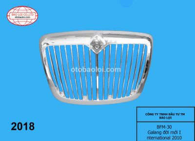 Galang đời mới International 2010 136x90