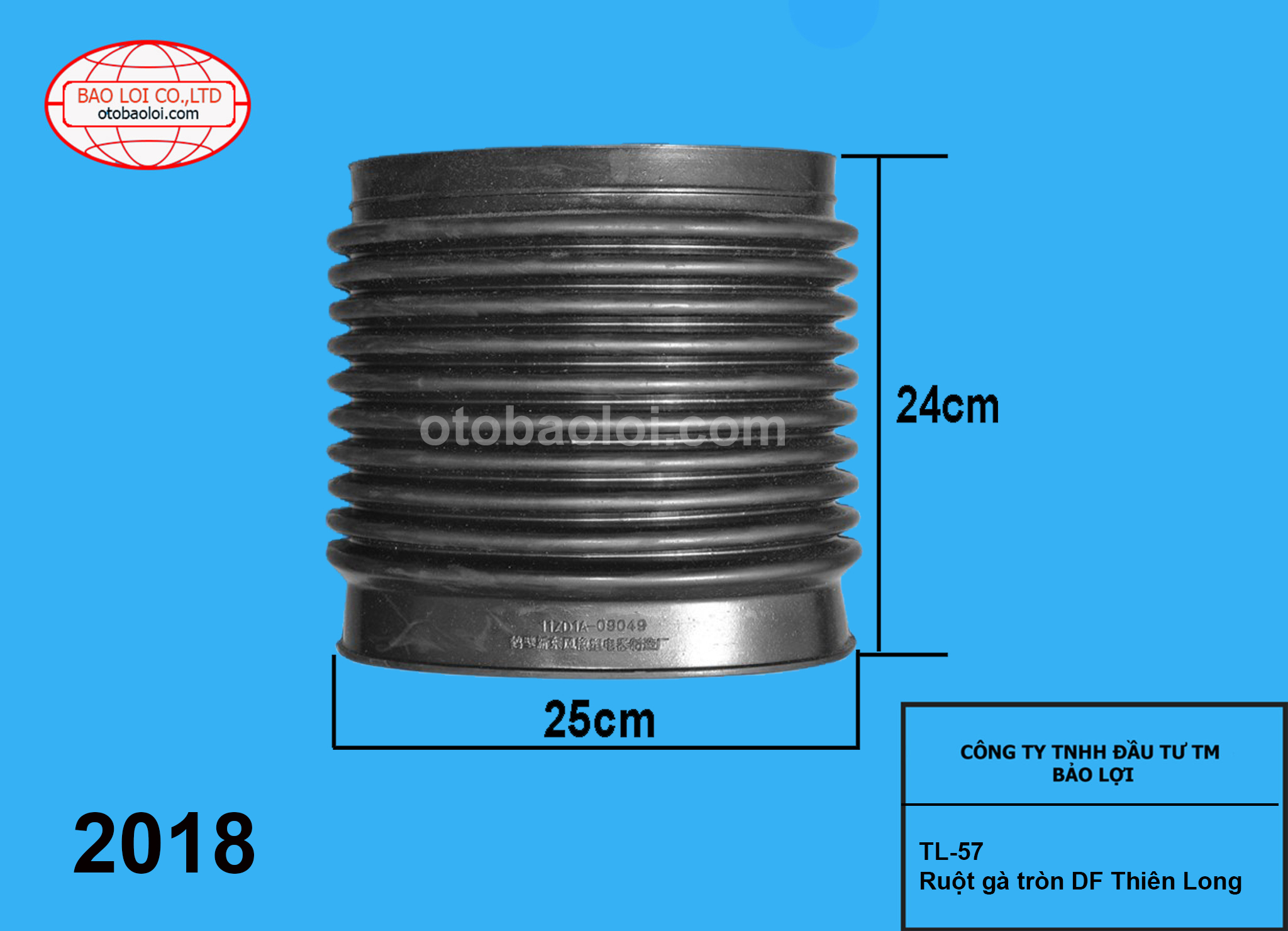 Ruột gà tròn DF Thiên Long