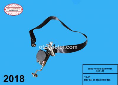 Day dai an toan HH 8 tan