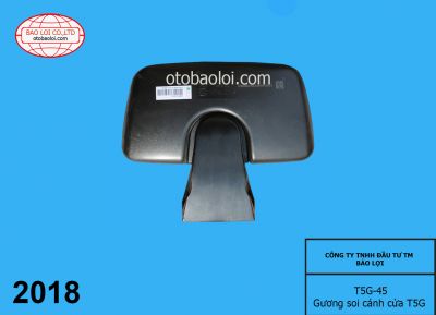 Gương soi cánh cửa T5G T5G