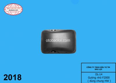 Gương nhỏ F2000 ( dùng chung HW )