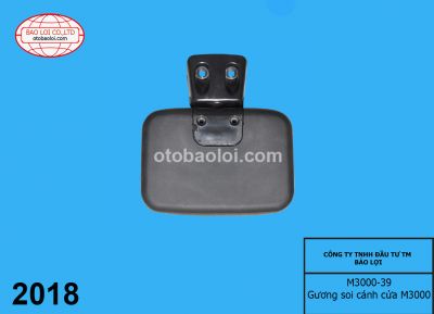 Gương soi cánh cửa  M3000