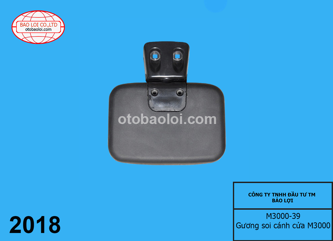 Gương soi cánh cửa  M3000