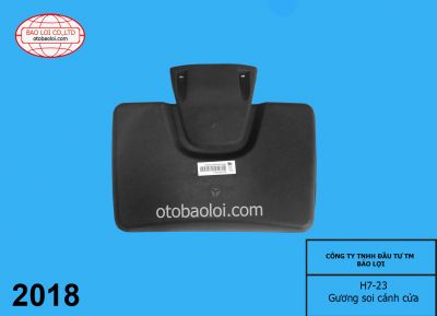 Gương soi cánh cửa