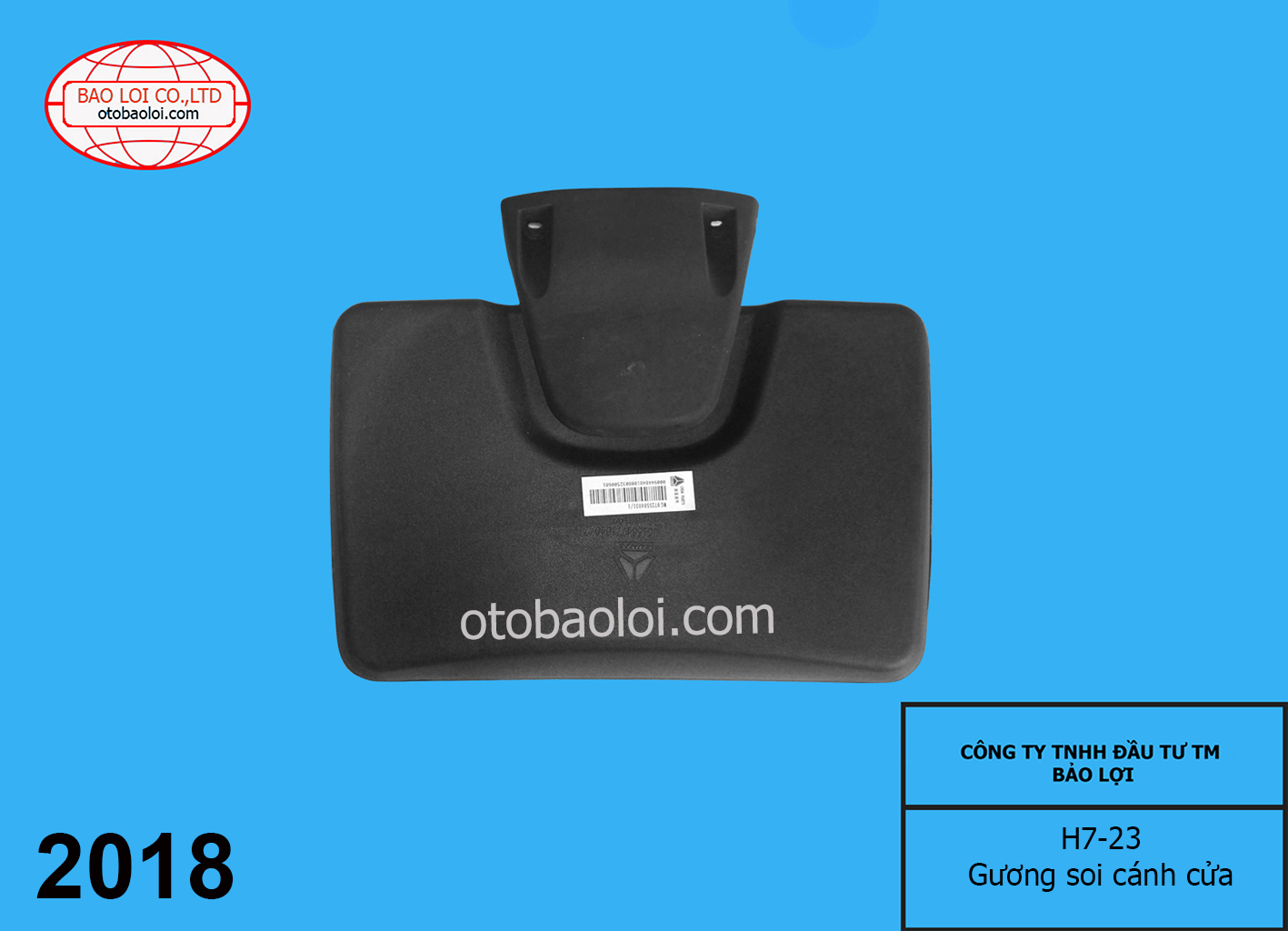 Gương soi cánh cửa