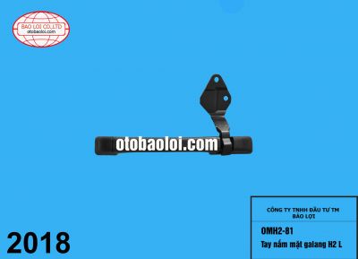 Tay nắm mặt galang H2 L