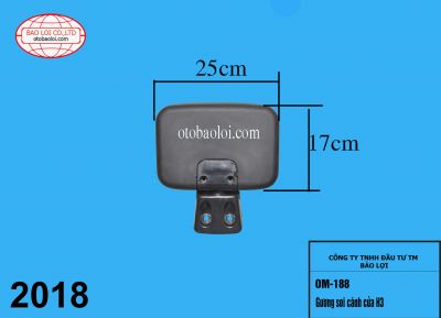 Gương soi cánh cửa H3