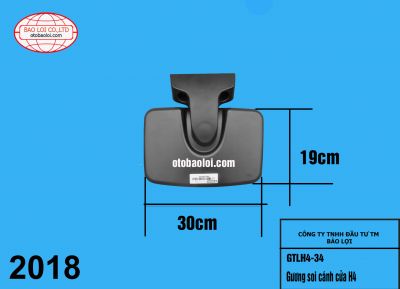Gương soi cánh cửa H4
