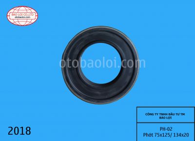 Phớt 75x125/ 134x20