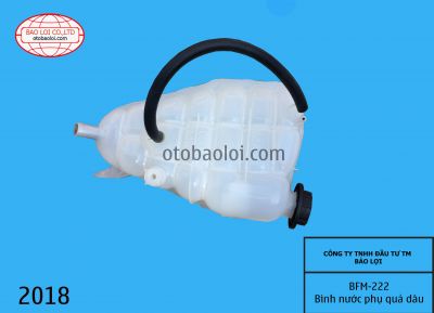 Bình nước phụ quả dâu cumin 