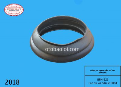 Cao su vỏ bầu le 2004