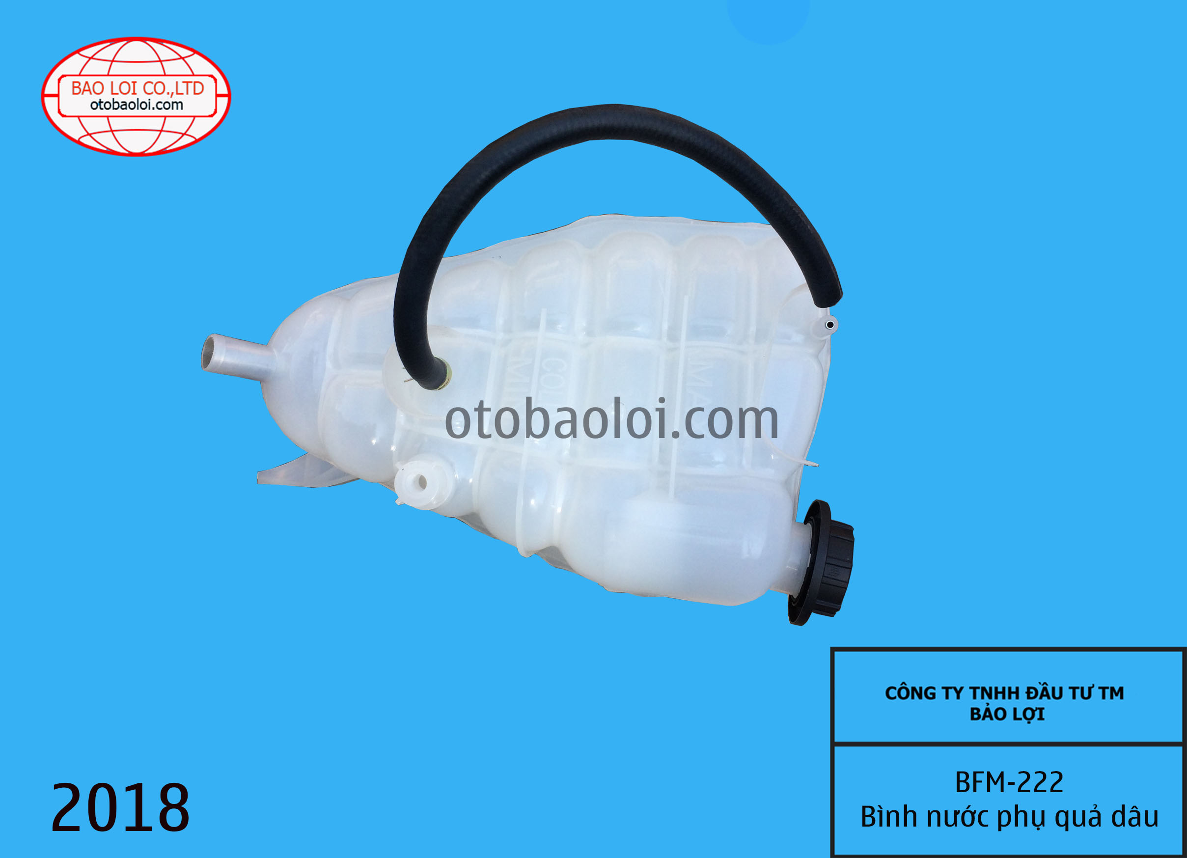 Bình nước phụ quả dâu cumin 