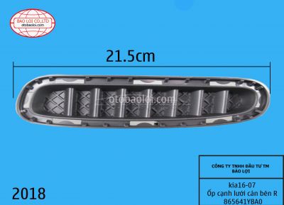 Ốp cạnh lưới cản bên R 865641YBA0