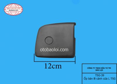 Ốp bản lề cánh cửa L T5G