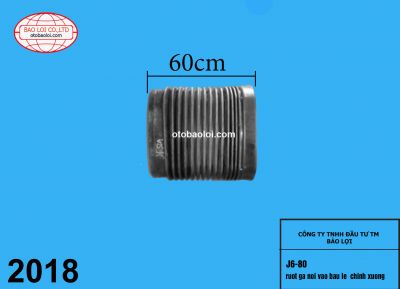 ruot ga noi vao bau le  chinh xuong 