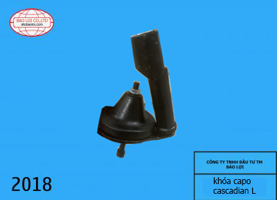 Khoa capo cascadian L