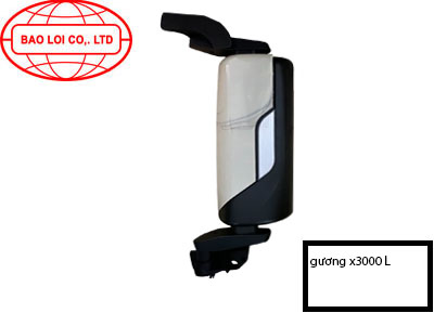 Gương chiêu hậu bên X3000 L